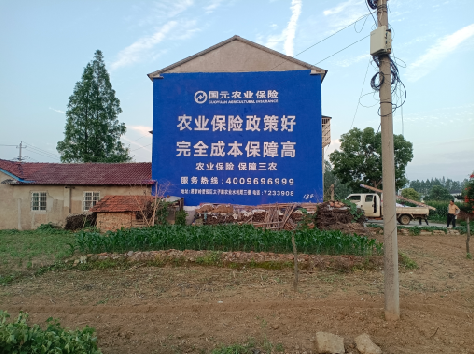 连江县墙体广告为何受追捧？